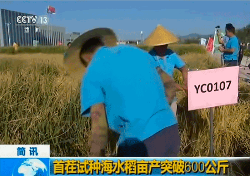 image/20200603/e7ec3d44bca839e8443412c21f7f59ba.png image/20200603/e7ec3d44bca839e8443412c21f7f59ba.png