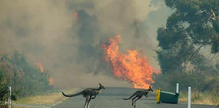 image/20200709/81012370838f857a146af2b4897c6cbe.png image/20200709/81012370838f857a146af2b4897c6cbe.png