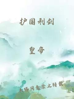 護(hù)國(guó)利劍