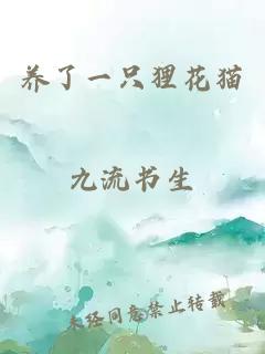 養了一只貍花貓