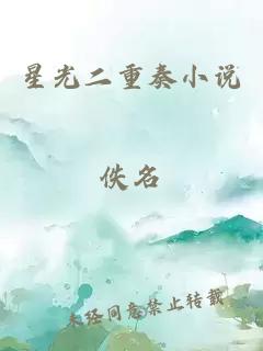星光二重奏小說