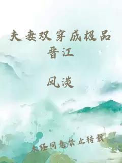 夫妻雙穿成極品晉江