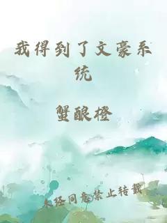 我得到了文豪系統(tǒng)