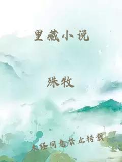 里藏小說
