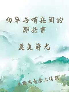 向導與哨兵間的那些事
