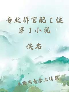 專業拆官配［快穿］小說