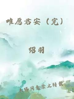 唯愿君安（完）