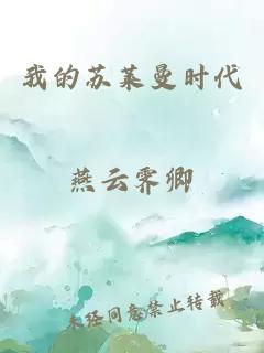 我的蘇萊曼時(shí)代