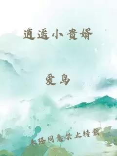 逍遙小貴婿