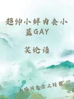 超帥小鮮肉套小藍(lán)GAY