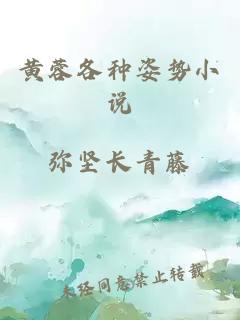 黃蓉各種姿勢(shì)小說